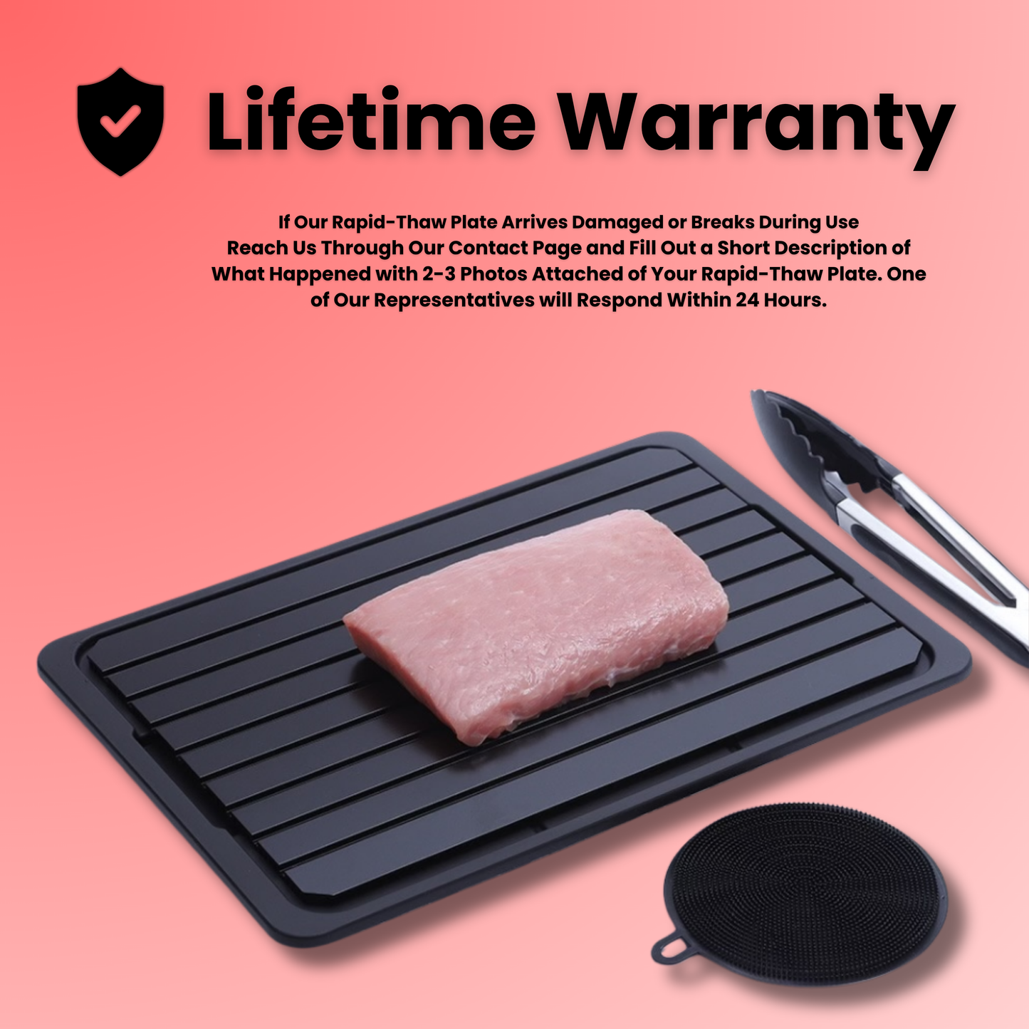 TempMaster™ Rapid-Thaw Plate