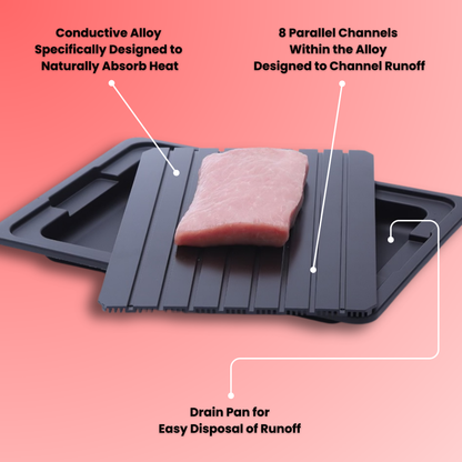 TempMaster™ Rapid-Thaw Plate